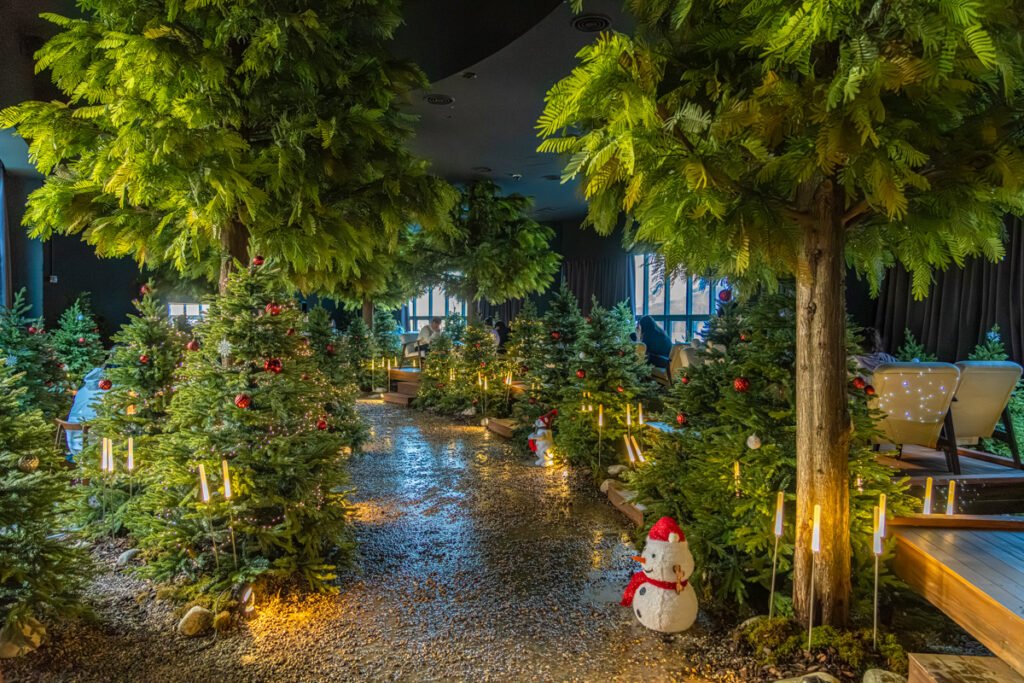 Musimwon interior forest theme design Muju cafe